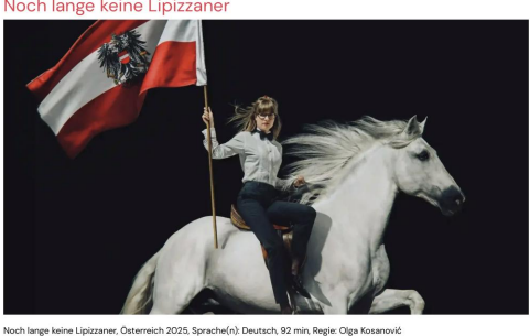 Noch lange kein Lipizzaner