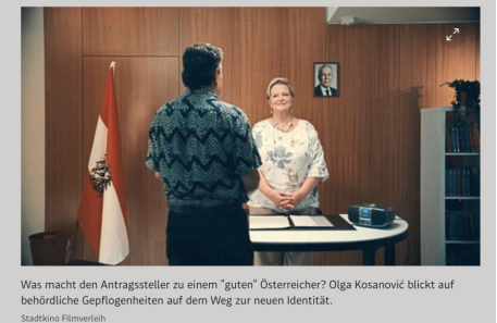 Noch lange kein Lipizzaner 2